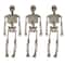 8" Skeletons, 3ct. by Ashland®